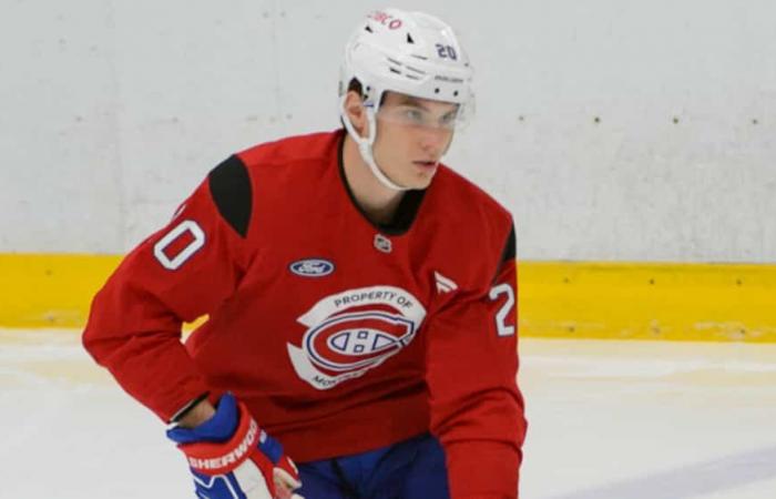 Incidente Acciari: Slafkovsky non capisce la reazione della NHL