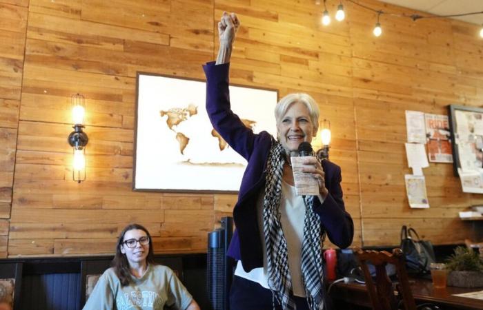 Jill Stein, la candidata ambientalista che scuote il campo democratico