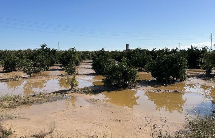 Dopo le alluvioni mortali, la rabbia delle vittime