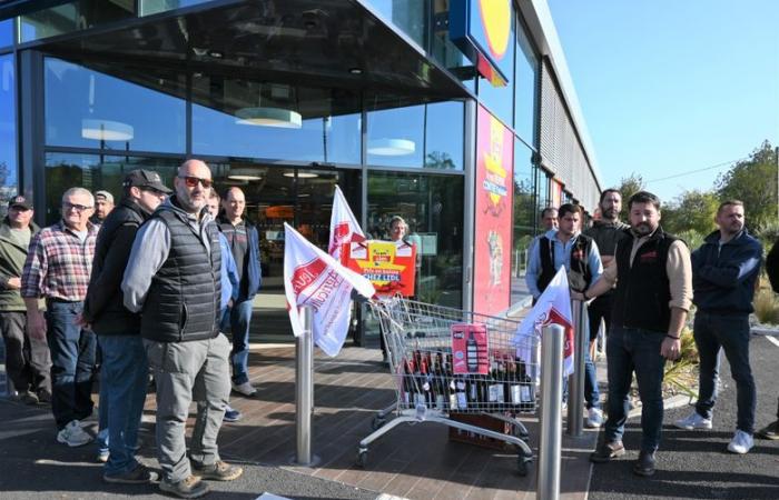 “Una chiamata di soccorso perché i prezzi di vendita sono troppo bassi” per i viticoltori del Gard che hanno manifestato al Lidl di Bagnols-sur-Cèze