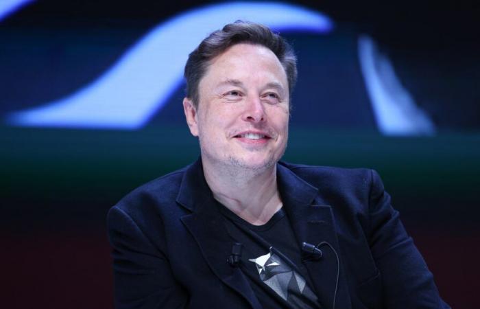 Elon Musk: il suo “complesso segreto” da 32 milioni di euro per i suoi 11 figli