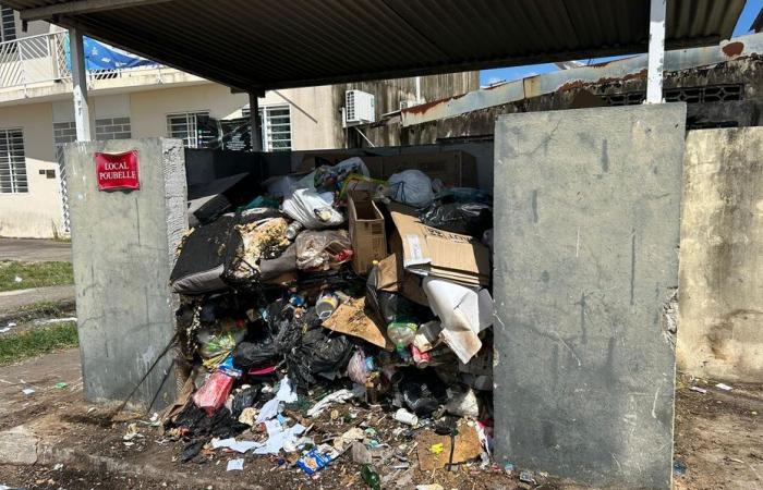 La raccolta irregolare dei rifiuti nel quartiere di rinnovamento urbano di Cayenne costringe i residenti a sopportare condizioni antigeniche insopportabili.