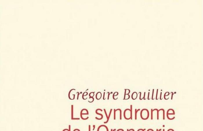 LA SINDROME DELL'ARANCIA di Grégoire Bouillier