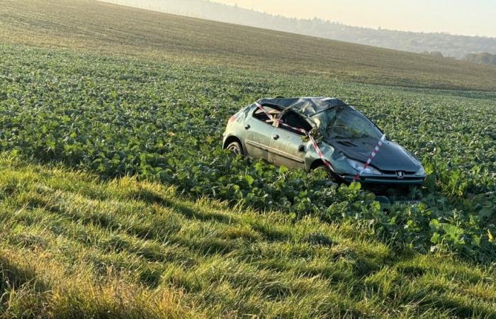 Lasciare la strada e ribaltarsi sulla RD417 vicino a Laville-aux-Bois