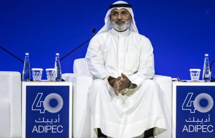 I paesi dell’OPEC+ aspetteranno fino alla fine di dicembre per produrre di più