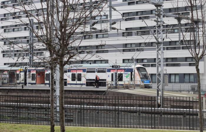 quattro persone ferite con asce nella RER E