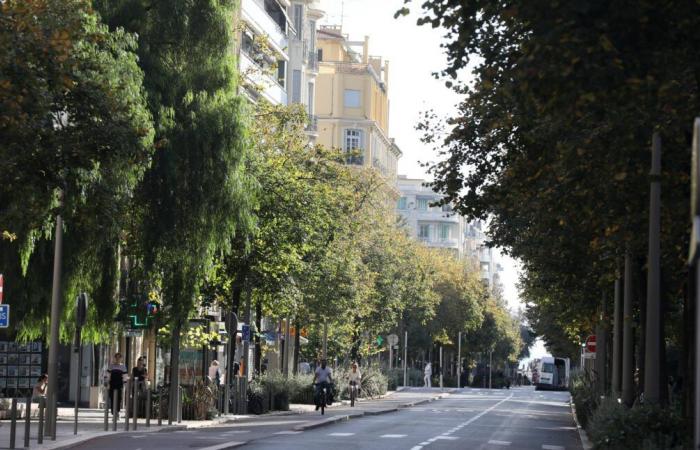 Successi, punti di miglioramento, progetti in corso… Un anno dopo, qual è il bilancio del “nuovo” boulevard Gambetta a Nizza?