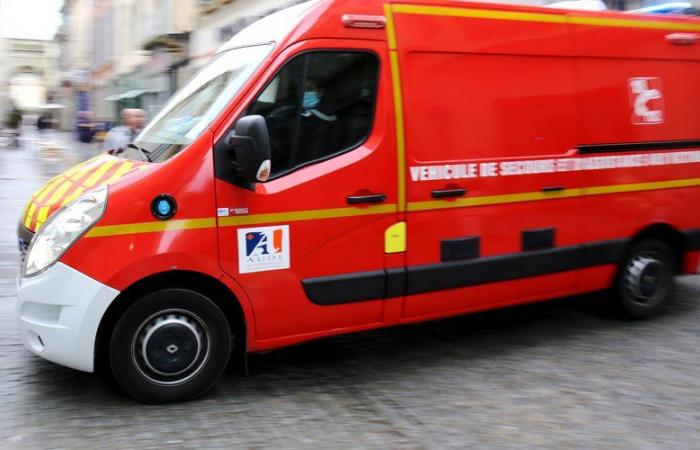 Aude: Un uomo di 60 anni muore schiacciato dal suo trattore in un campo