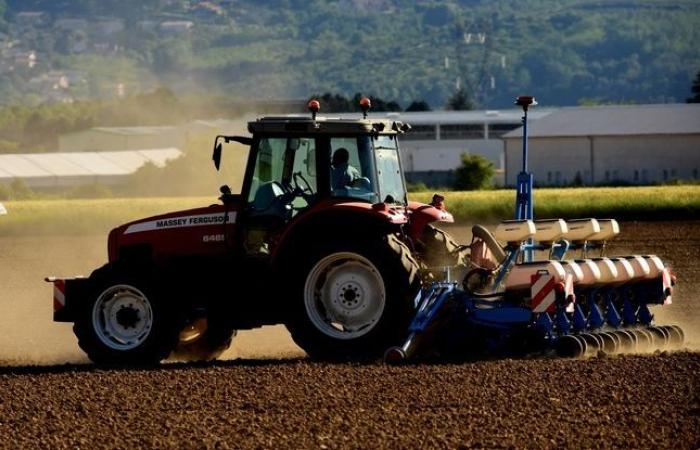 Il suo trattore cade da otto metri, un adolescente gravemente ferito