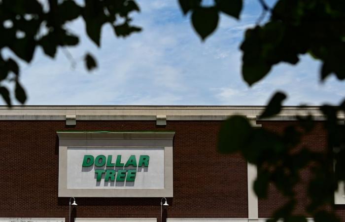 Il CEO di Dollar Tree Rick Dreiling si dimette