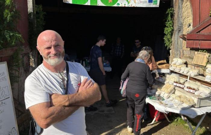 Paesi Baschi: perde 32 pecore in un'alluvione, un montepremi online gli permette di “iniziare ad andare avanti”