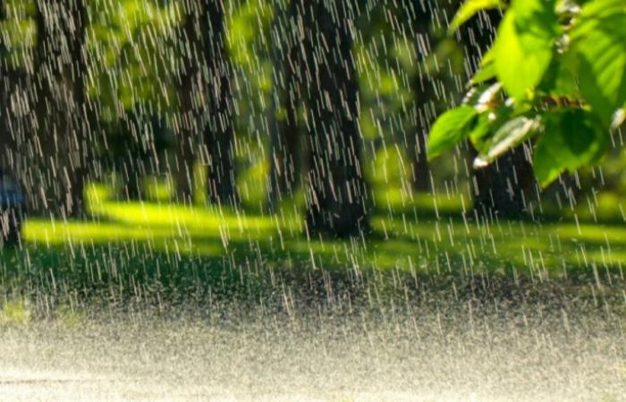 Cosa fare quando piove? 5 attività insolite nel Pays-de-Savoie