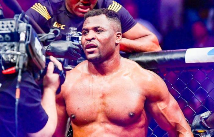 Francis Ngannou, l'enorme montante