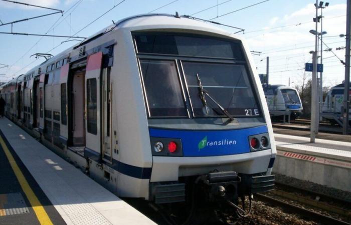 Scoppia una rissa nella RER E, quattro persone ferite a colpi di ascia