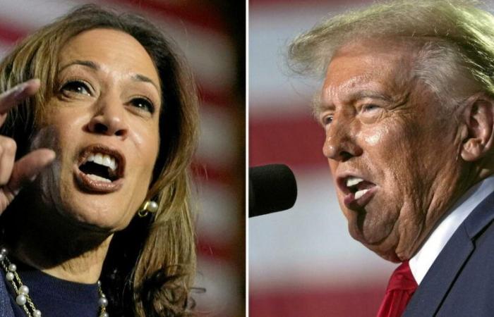 Elezioni presidenziali americane (D – 1): Trump-Harris, risultato incerto nonostante un sondaggio preoccupante per i repubblicani