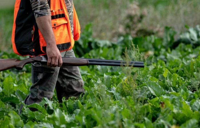 “Nessuno sa cosa sia successo”: cacciatore trovato morto davanti alla sua auto, aperta un'inchiesta