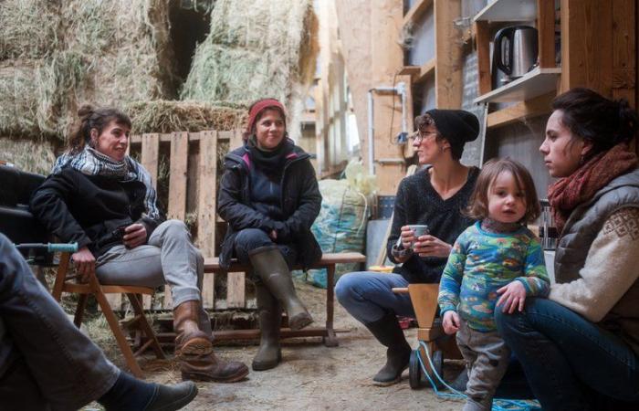 Il Larzac visto da Philémon d'Andurain è esposto al Ping-Pong le Toit di Millau