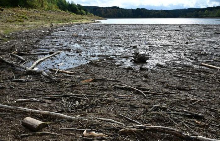 Dopo le grandi inondazioni dell'Alta Loira, tonnellate di legno devono essere evacuate nella diga della Lavalette