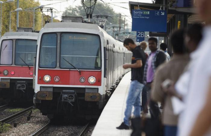 Quattro persone ferite, di cui due gravemente, a colpi di ascia durante uno scontro nella RER E