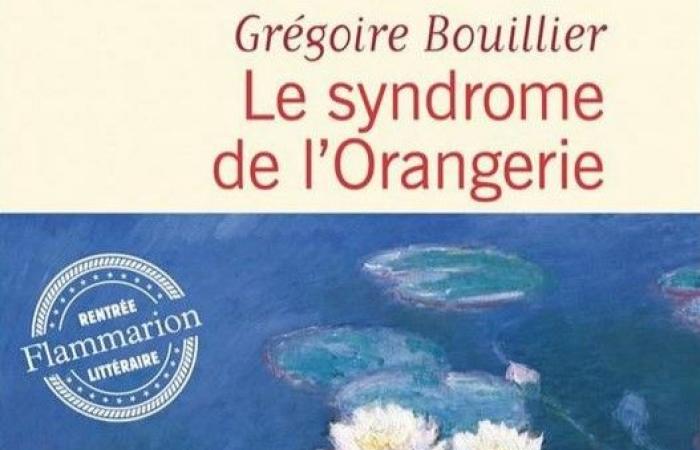 LA SINDROME DELL'ARANCIA di Grégoire Bouillier