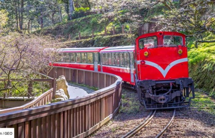 “È come tuffarsi in un altro mondo”: a Taiwan, un pittoresco treno per visitare il passato