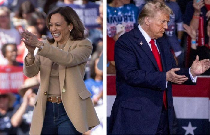 DIRETTO. Elezioni presidenziali americane: duello testa a testa tra Kamala Harris e Donald Trump, Stati chiave, risultati, segui con noi le elezioni