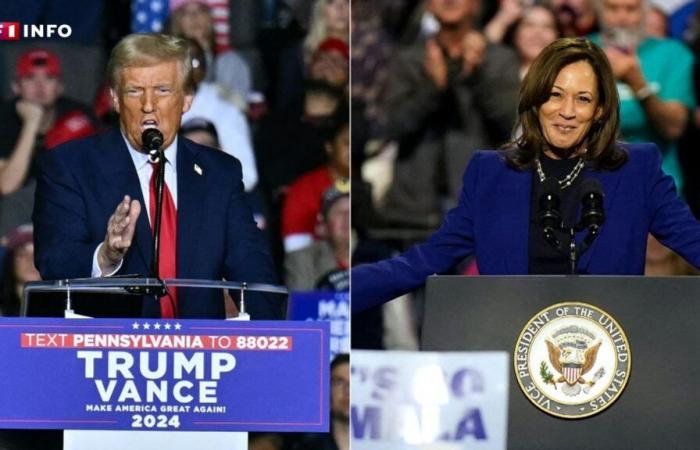 Elezioni presidenziali americane: Donald Trump o Kamala Harris, cosa dicono i sondaggi sul giorno delle votazioni?