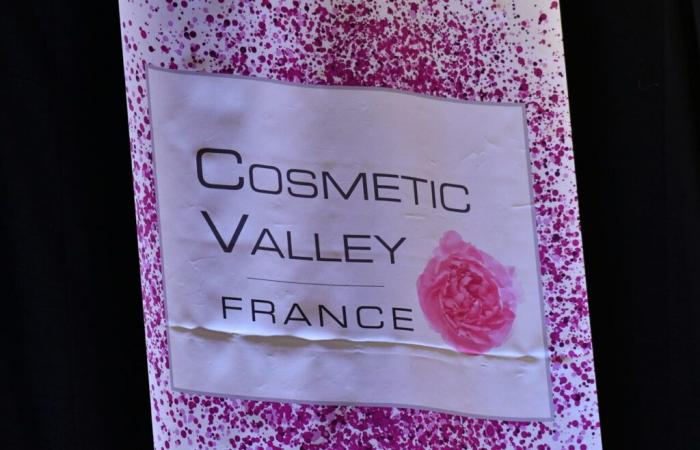 Cosmetica sostenibile, tre libri pubblicati da Cosmetic Valley per decifrare le problematiche