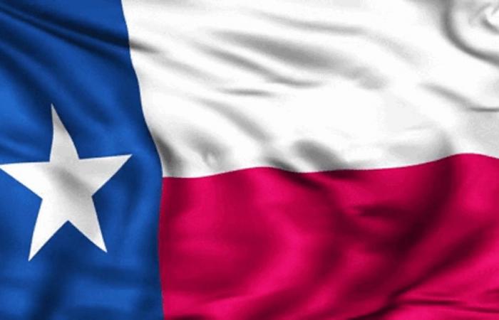 Risultati delle elezioni 2024: quanti voti elettorali ha il Texas?