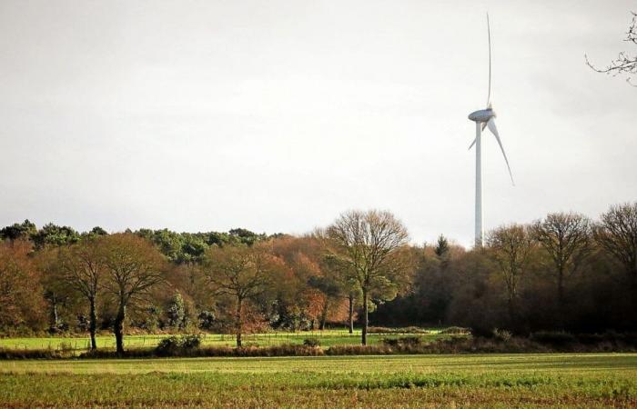 Pesticidi, caccia, prelazione… Cosa potrebbe cambiare con il parco naturale delle Landes de La Poterie