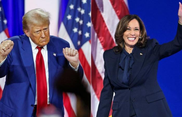 Kamala Harris o Donald Trump, giornata storica per gli Usa