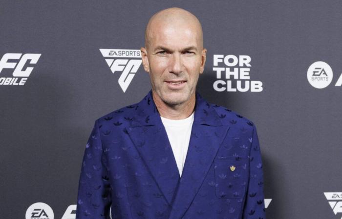 Zinédine Zidane: “uno squarcio di 15 centimetri” provocato da Benjamin Castaldi e dal suo coltello durante un evento di beneficenza