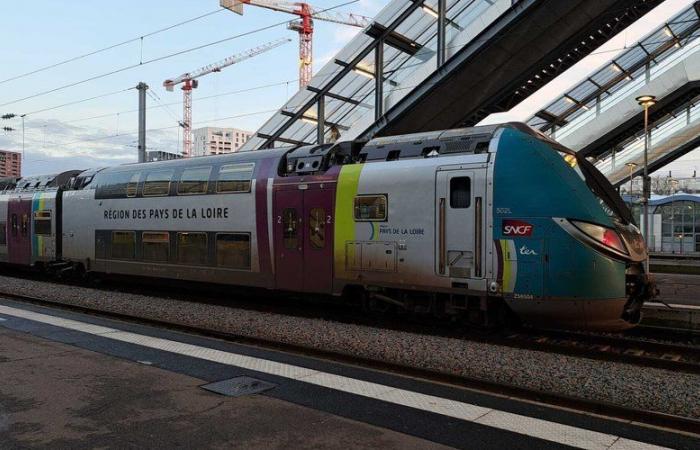 Sgabelli, scalette, scalette… perché la SNCF consiglia ai viaggiatori di non salire su alcuni treni TER con questi oggetti?