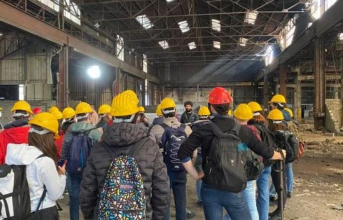 Rilanciare il progetto di un Campus Universitario del legno e delle foreste?