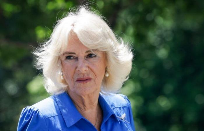 La regina Camilla annulla le apparizioni pubbliche a causa di un'infezione ai polmoni