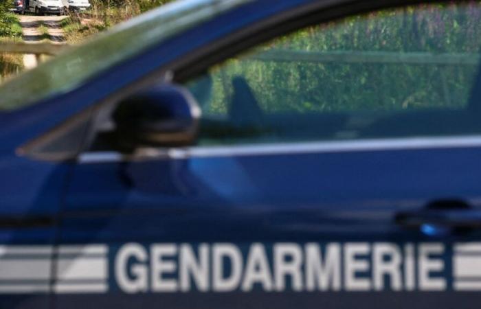 Due bambini scoperti decapitati in Guadalupa, la madre arrestata e ricoverata in ospedale