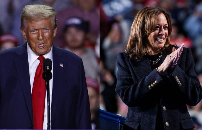 DIRETTO. Elezioni presidenziali americane 2024: Harris ha terminato la sua campagna, Trump dà il suo ultimo incontro, i primi elettori si recano alle urne, segui la giornata su lindependant.fr