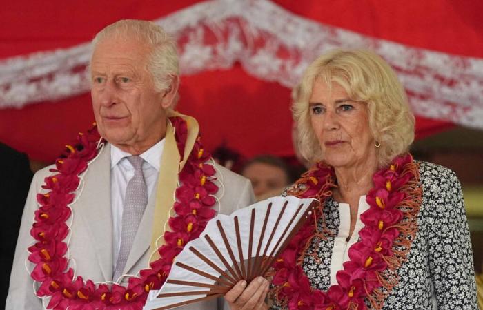 La regina Camilla si ritira dagli impegni per motivi di salute