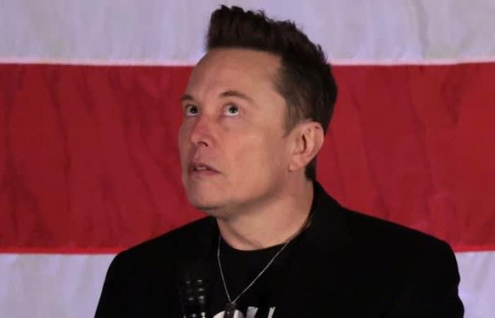 Elon Musk ha parcheggiato la sua Tesla sul prato della Casa Bianca