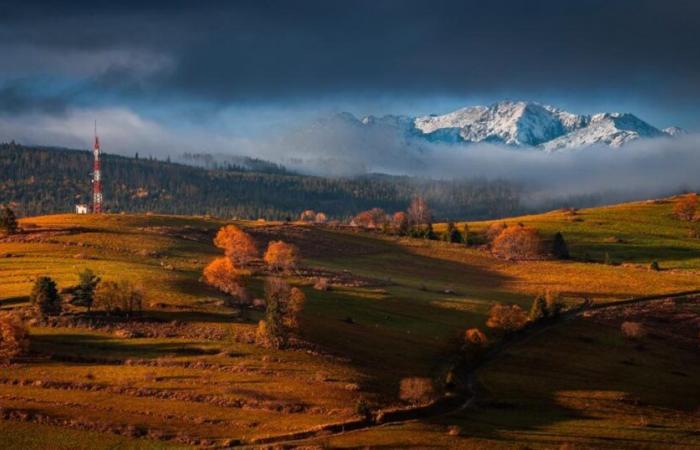 Morbidezza e dolcezza in montagna: niente neve all'orizzonte