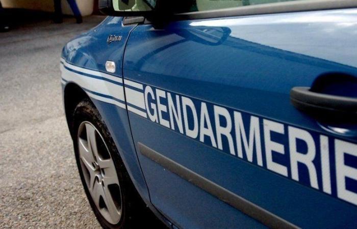 Due bambini trovati morti e decapitati nella loro casa di famiglia in Guadalupa: la madre ricoverata in psichiatria