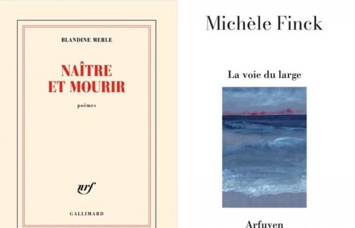 Il Premio Apollinaire 2024 assegnato a Michèle Finck