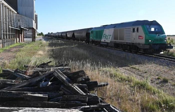 “Bisognerà analizzare le conseguenze sullo sviluppo del trasporto ferroviario di merci di questo trattamento dimagrante imposto al principale attore del mercato francese”