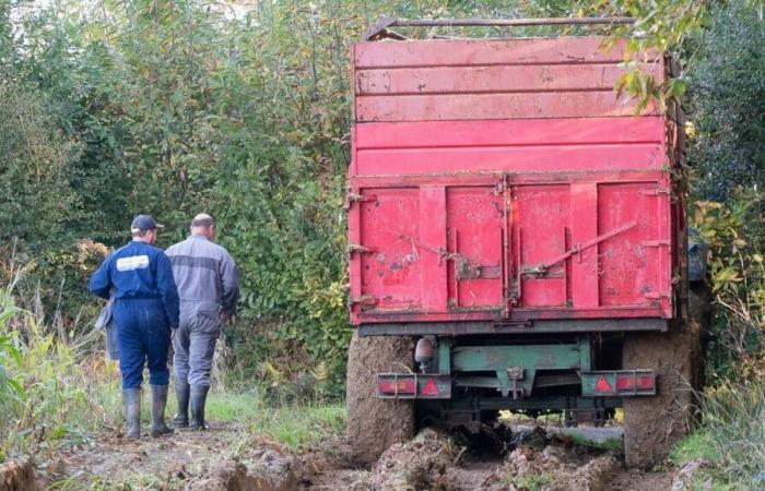 Nel Sud della Vandea, le manifestazioni dei contadini attenderanno fino alla fine dei raccolti e della semina