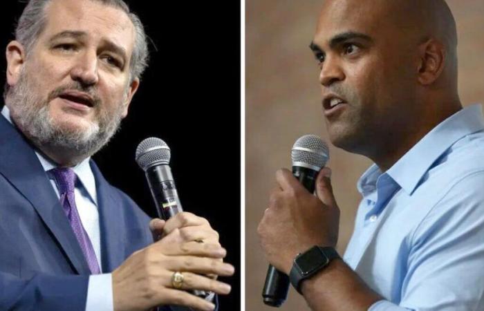 Ted Cruz dichiara la vittoria nella corsa al Senato sul democratico Colin Allred | Elezioni