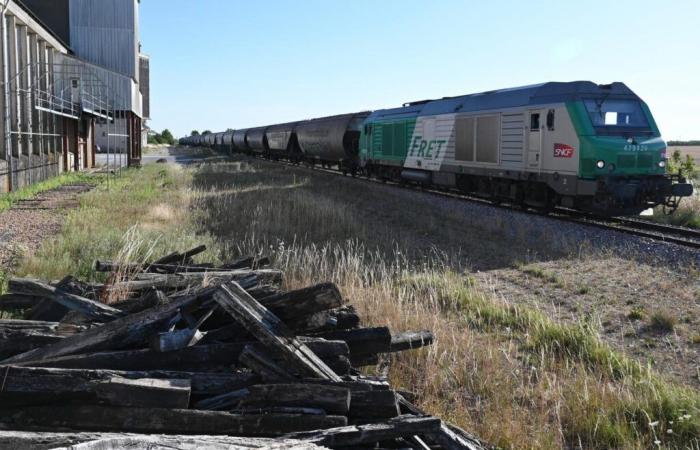 “Bisognerà analizzare le conseguenze sullo sviluppo del trasporto ferroviario di merci di questo trattamento dimagrante imposto al principale attore del mercato francese”