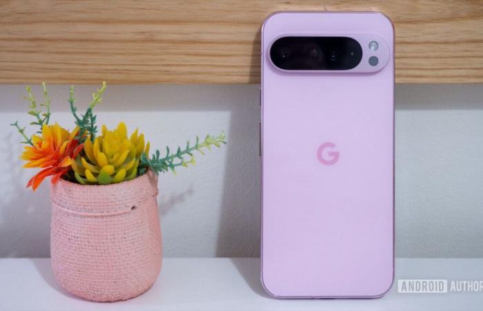 Pixel 9 Pro XL è stato uno dei migliori risultati di vendita negli Stati Uniti