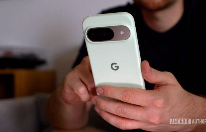 Google Pixel ha avuto un mese quasi incredibile, secondo i dati sulle quote di mercato