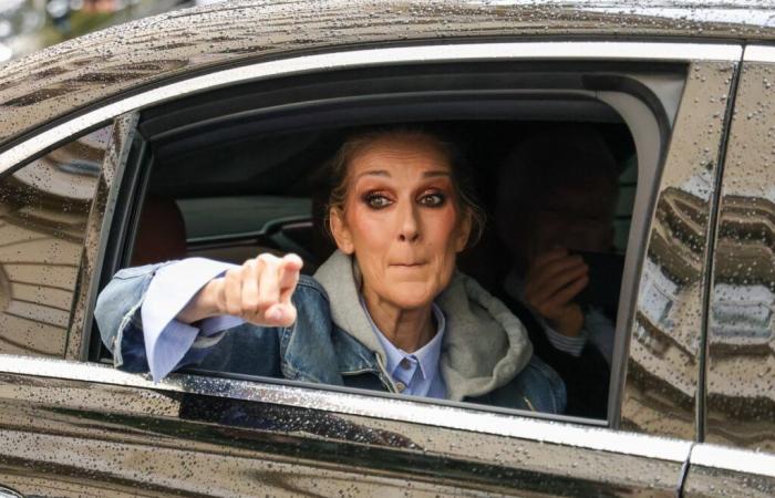 Céline Dion “ricca” ma infelice? Patrick Sébastien si taglierebbe la mano