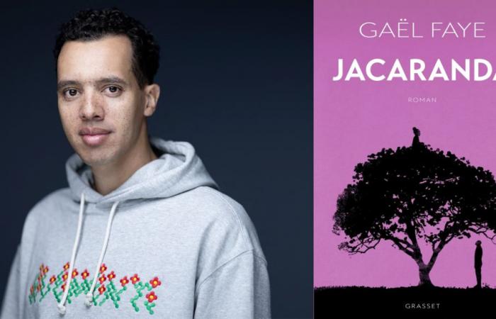 Il romanzo di Gaël Faye, Premio Renaudot 2024, ripercorre la storia del Ruanda per chi non può